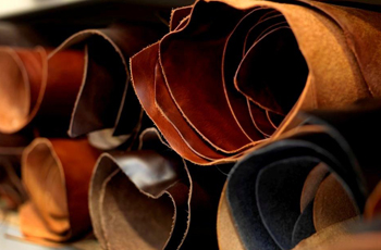 Leather Processing Chemicals